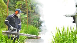 Best Fumigation Services  in Bonita Springs, FL